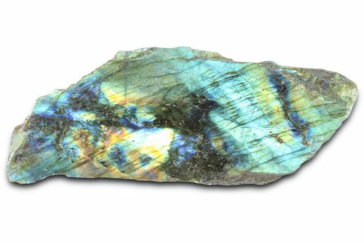 Single Side Polished Labradorite Section - Madagascar #364307